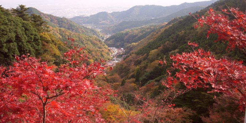 大山から眺望.jpg