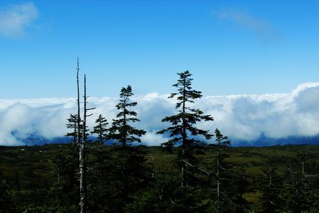 雲海２.jpg