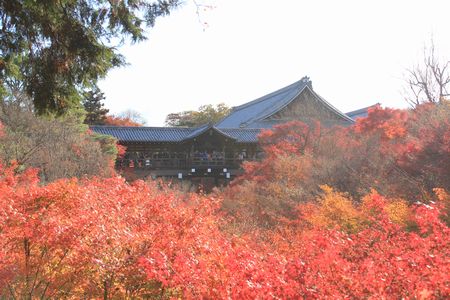 東福寺１.jpg