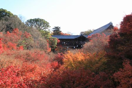 東福寺２.jpg