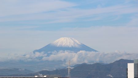 富士山ｲﾁｶﾒ２.jpg