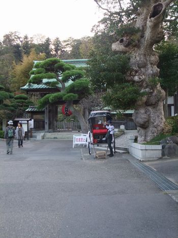 長谷寺山門.jpg