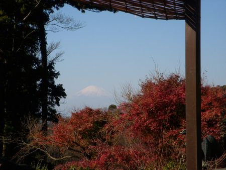 富士山と紅葉♪.jpg