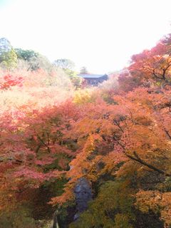 東福寺２－２－１.jpg