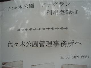 P1010076.jpg