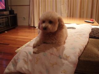 P1010179.jpg