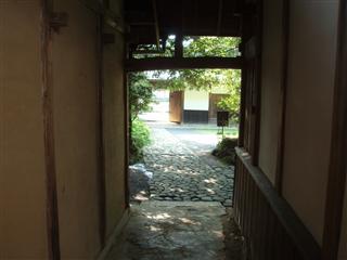 P1010261.jpg