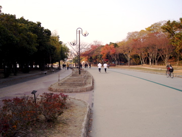 公園の中