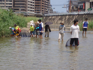 100731樋井川観察会01.jpg