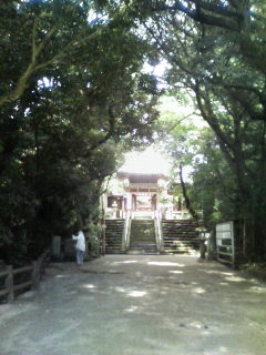 志賀海神社