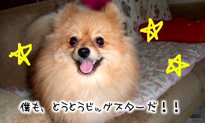 090627-3.jpg