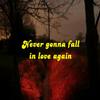 Never gonna fall in love again