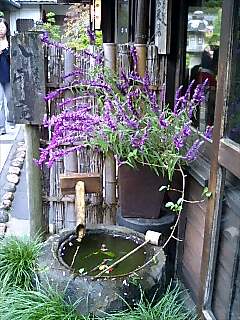 20102312