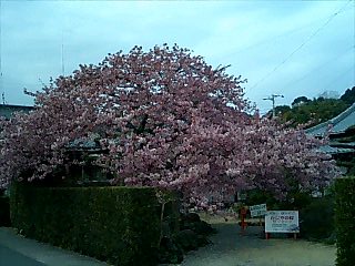 2003406