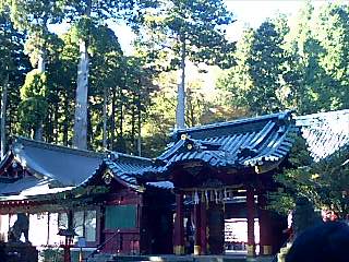 20111411