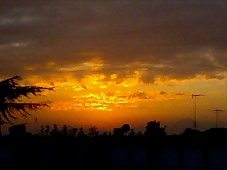 20111415