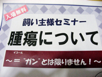 せみなー.jpg