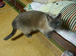 画像 138.jpg