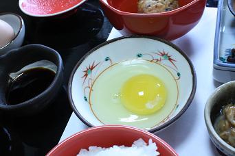 卵がレモン色なの。.JPG