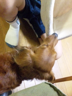ベッド