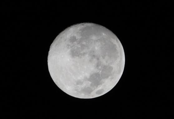 DSC_4832.JPG