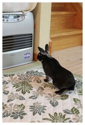ブログ画像 101.JPG
