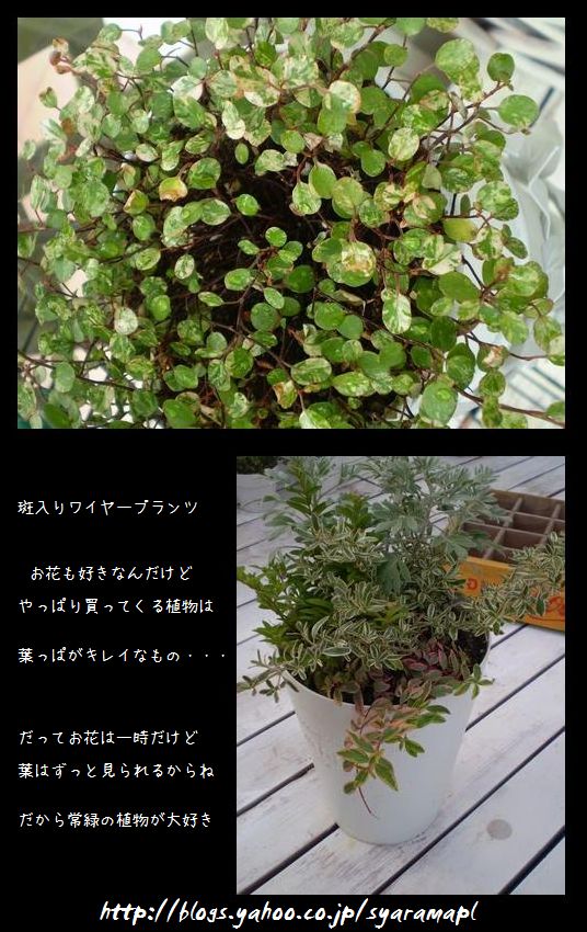 無題.jpg