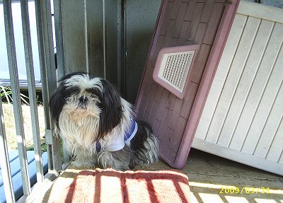 収監されたジャッキー2