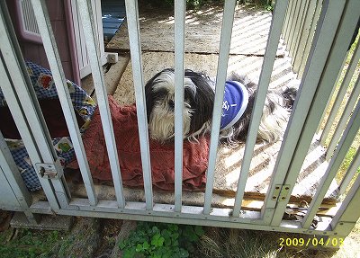 再び投獄されたジャッキー