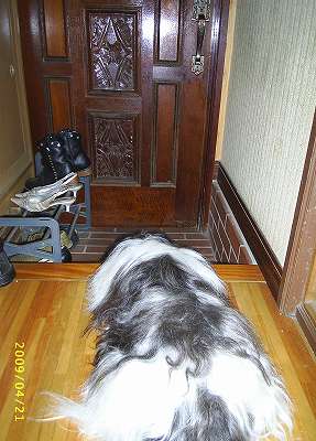 お兄さんまだ帰って来ない