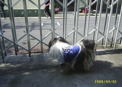 みんなと遊びたい