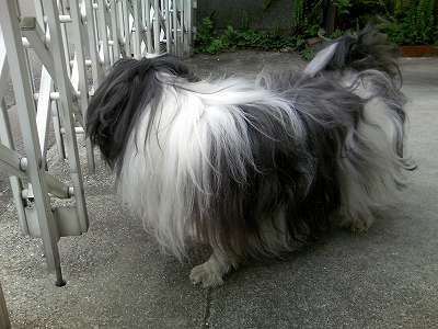 お庭に出して貰いました。