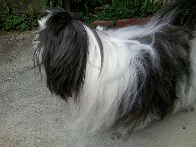 あの子達、何をしているのだろう？