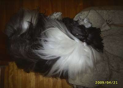 ぼく、何だかつまらない