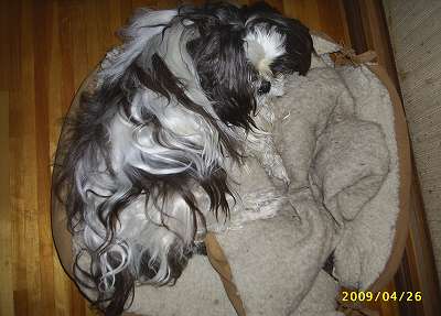 気持ちの良い目覚め