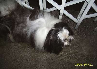 警備中のジャッキー5