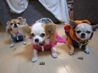 pict-IMG_0026.jpg