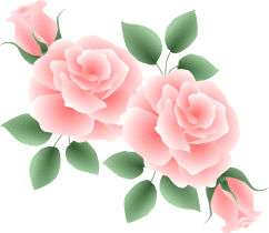 新着記事一覧 薔薇と四季折々の花のブログ 楽天ブログ