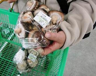 しいたけ購入