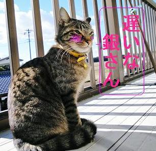 女は何時も待ちくたびれて♪