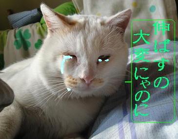 長すぎると危険だよ
