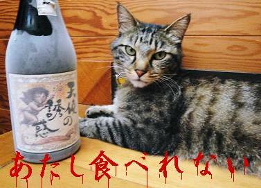 魚食えないもんね＝＝；