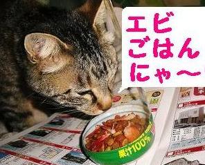 エビの尾っぽ好物にゃ♪