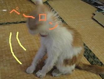 水攻めにゃ～