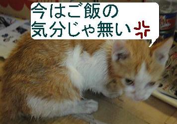 あ～あ、スネちゃった