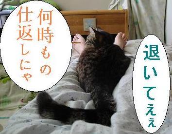 チェザ暑いし重いですよぉ