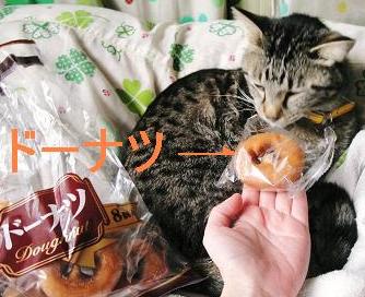 手乗りサイズ