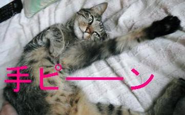 手ピーーーン！覚醒！