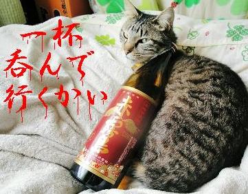 注文の多いｘｘｘ居酒屋！？