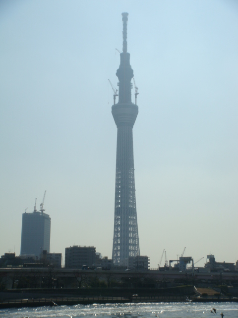 スカイツリー2/23